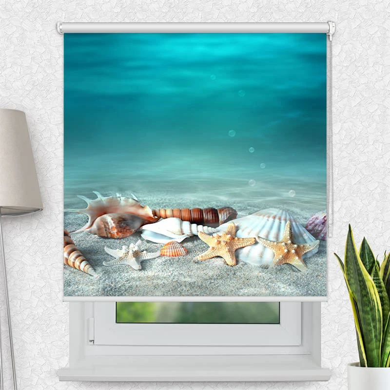 Motivrollo 'Muschel und Seestern am Strand' | Bis B 430 x H 440 cm