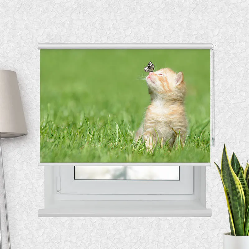 Motivrollo 'Kitten und Schmetterling' | Bis B 430 x H 440 cm