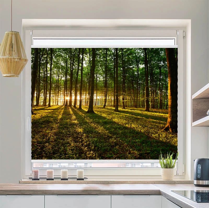 Wabenplissee Motiv "Sonnenstrahlen im Wald"