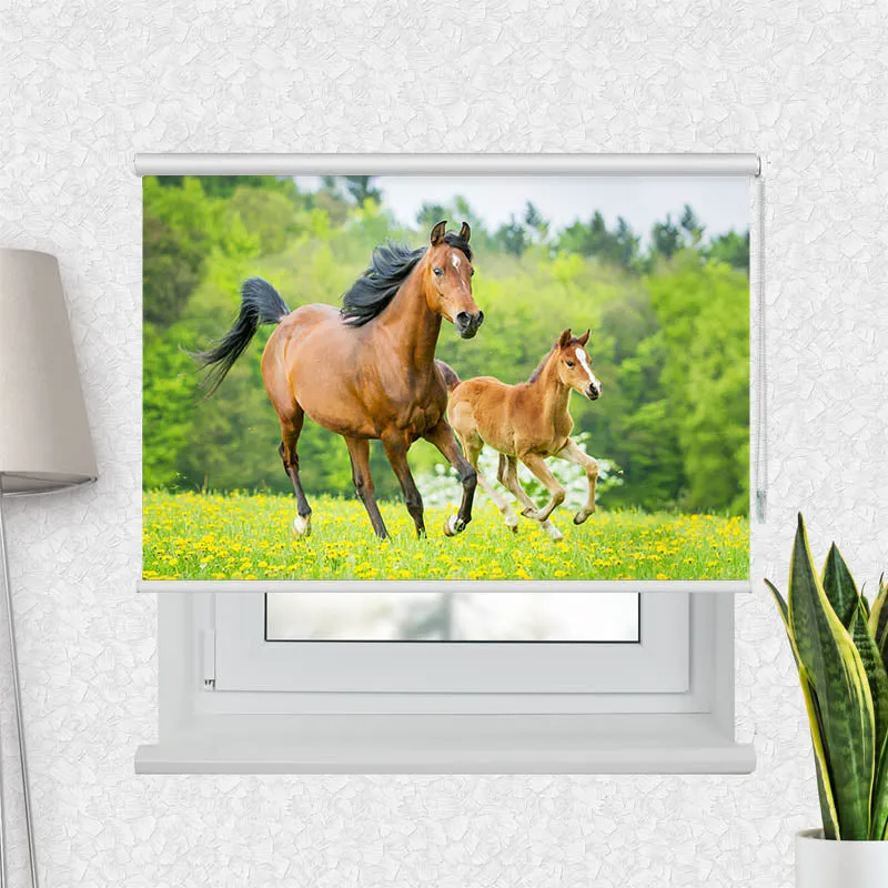 Motivrollo 'Pferd mit Fohlen' | Bis B 430 x H 440 cm
