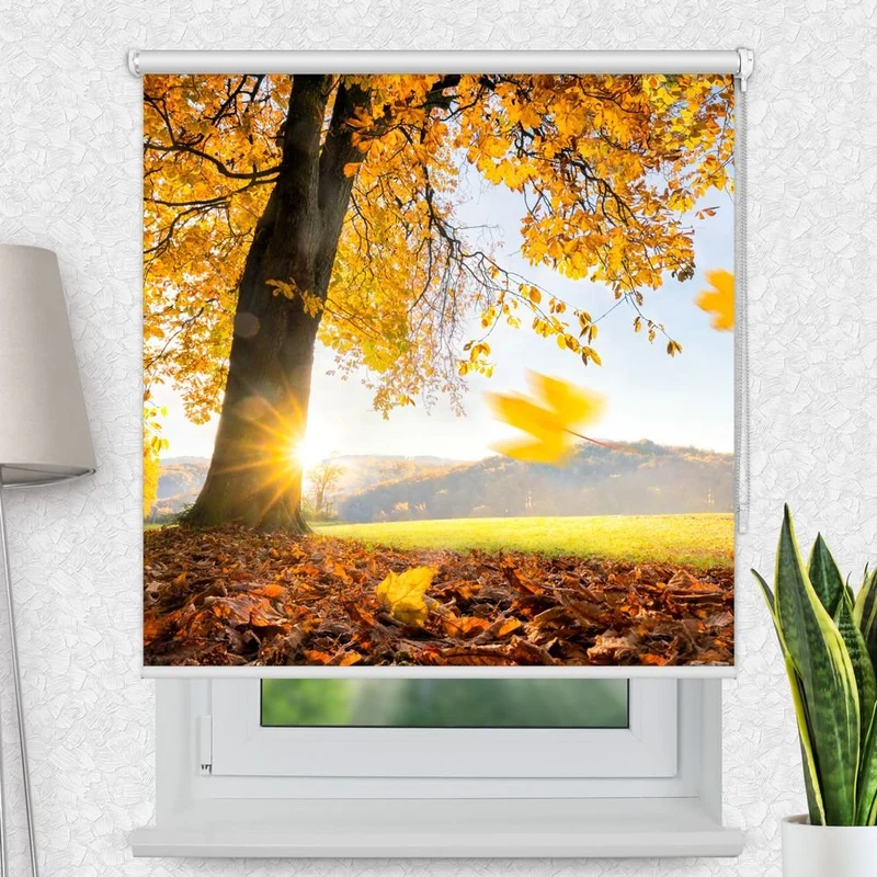 Motivrollo 'Baum Wiese Herbst' | Bis B 430 x H 440 cm