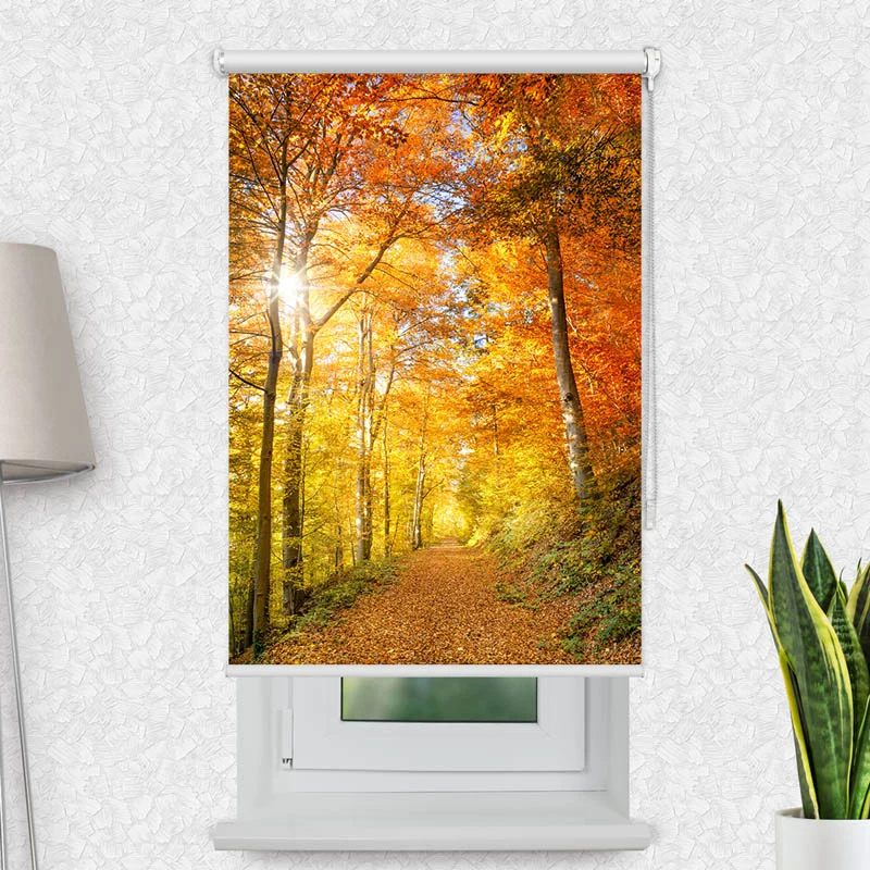 Motivrollo 'Waldweg Herbst' | Bis B 430 x H 440 cm