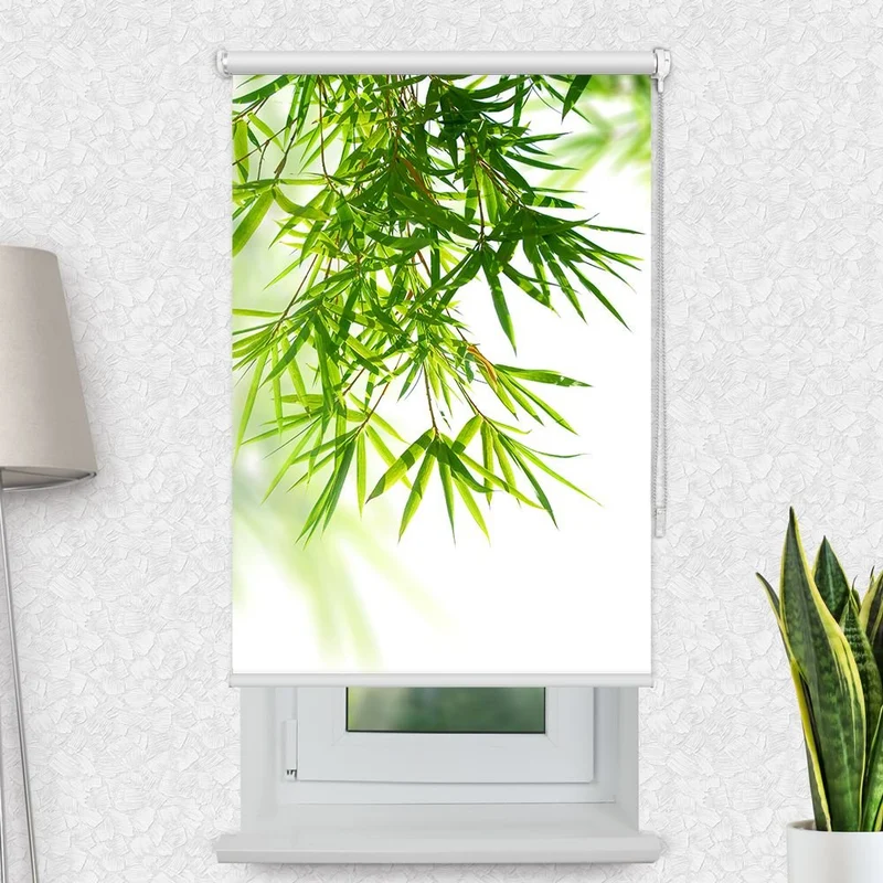 Motivrollo 'Bambusblaetter von Oben' | Bis B 430 x H 440 cm