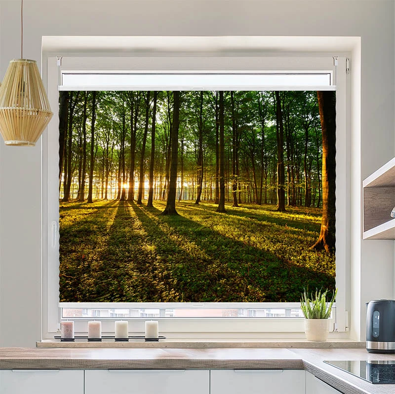 Plissee Motiv "Sonnenstrahlen im Wald"