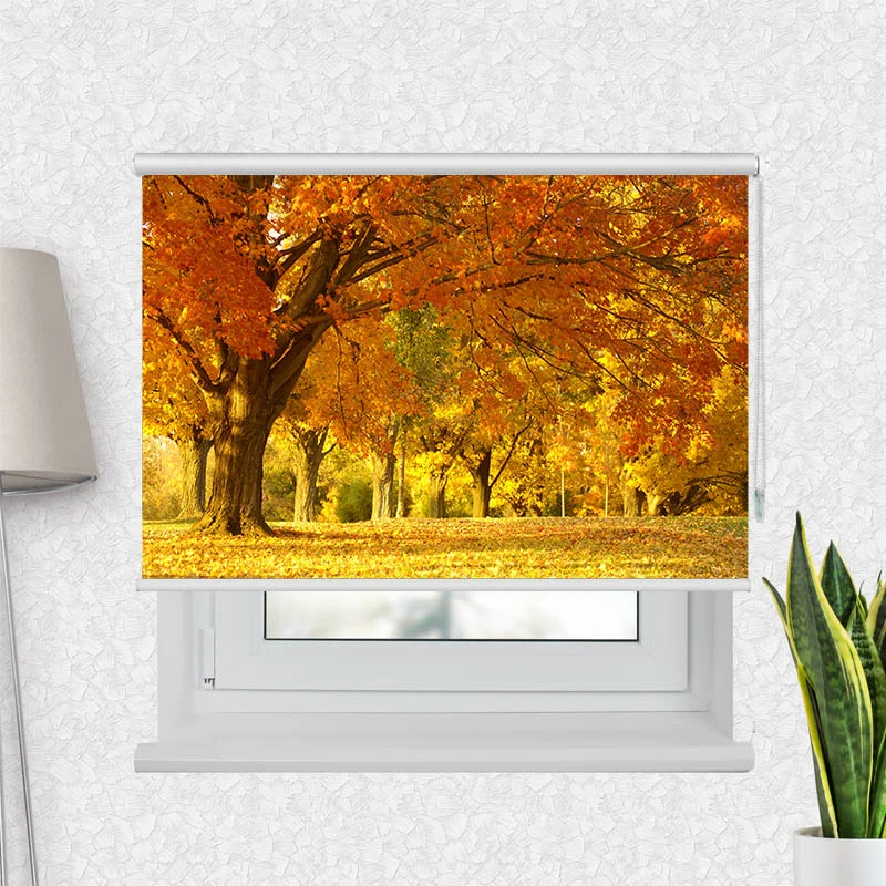 Motivrollo 'Allee im Herbst' | Bis B 430 x H 440 cm