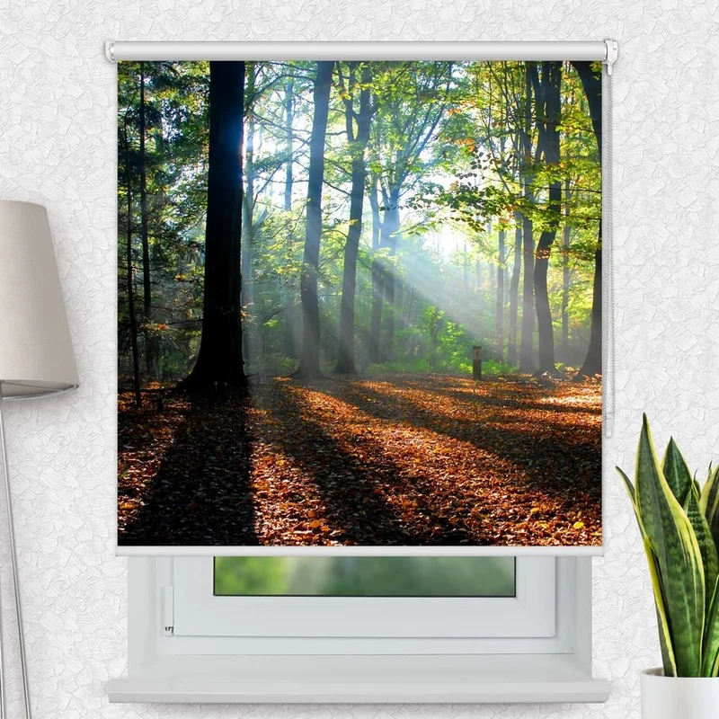 Motivrollo 'Wald Laub Sonne' | Bis B 430 x H 440 cm