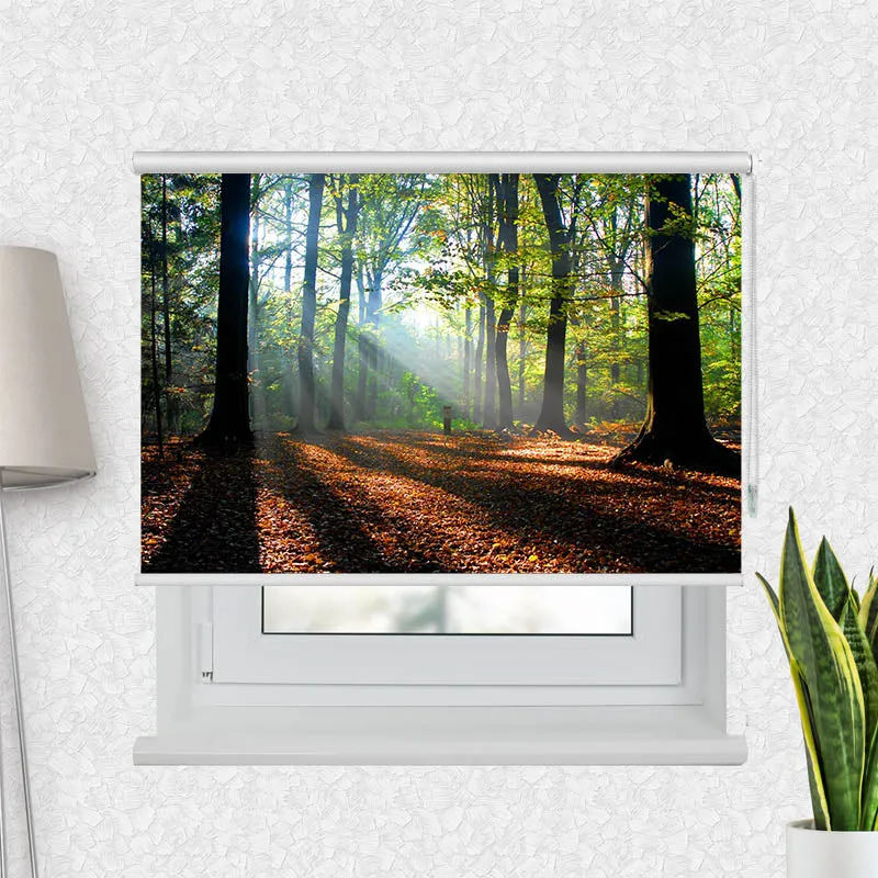 Motivrollo 'Wald Laub Sonne' | Bis B 430 x H 440 cm
