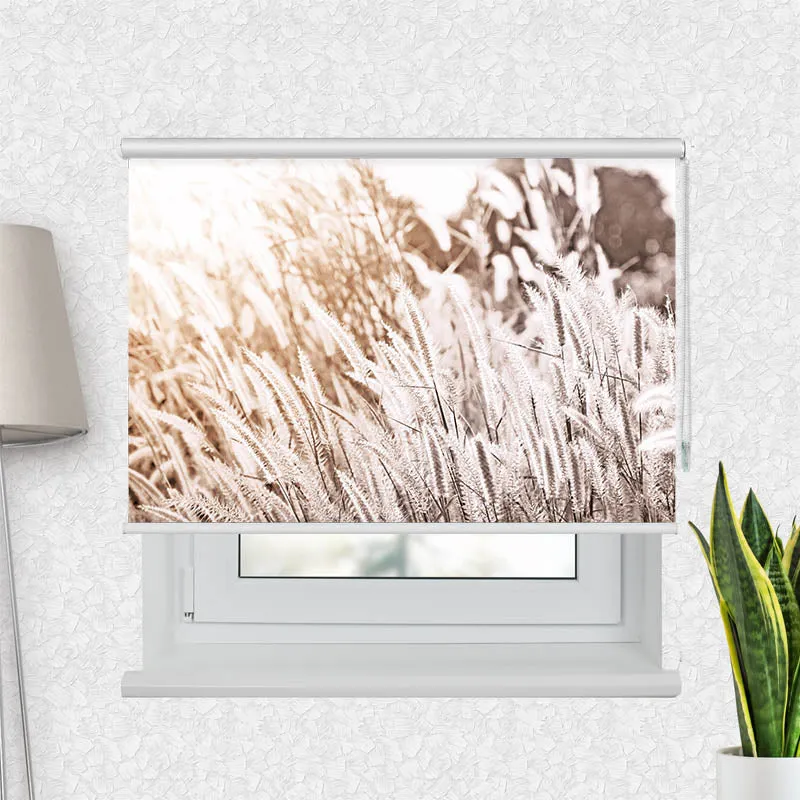 Motivrollo 'Pampas Gras' | Bis B 430 x H 440 cm