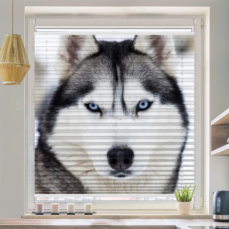 Wabenplissee Motiv "Husky"