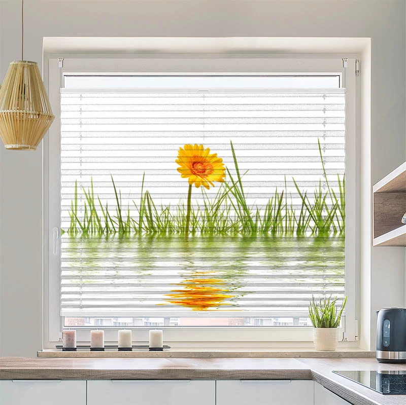 Plissee Motiv "Gras im Wasser"