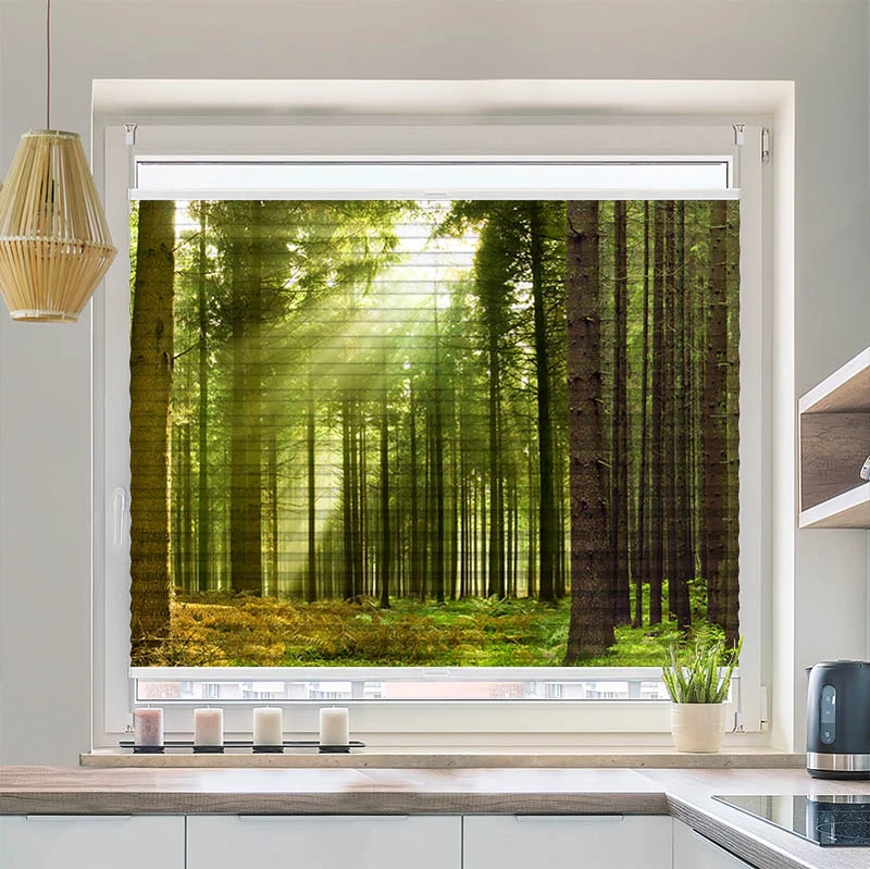 Plissee Motiv "Sonnenstrahlen im Wald Panorama"