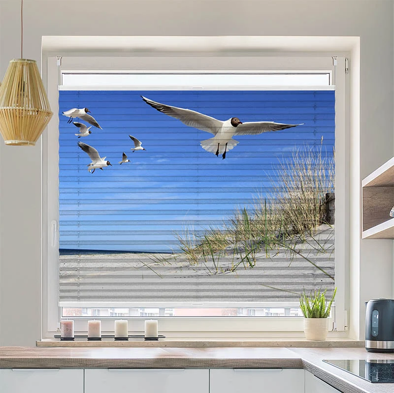 Plissee Motiv "Moewen am Strand"