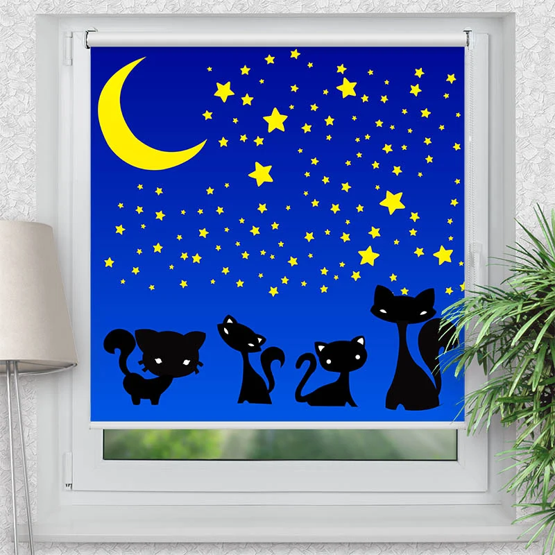 Klemmfix Rollo "Katzen Unter dem Sternenhimmel" | Motiv-Klemmrollo