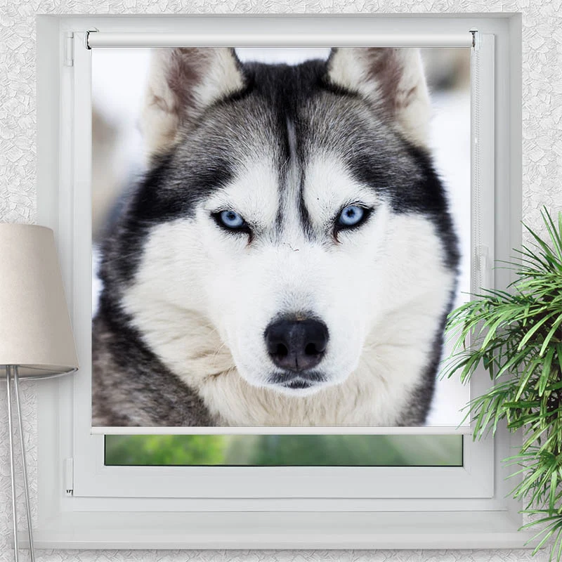 Klemmfix Rollo "Husky" | Motiv-Klemmrollo