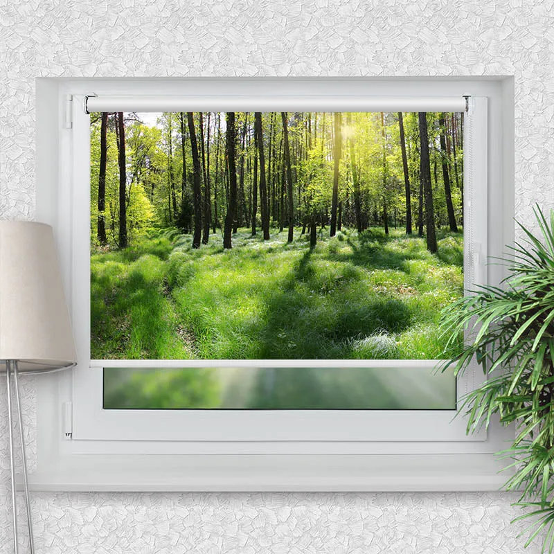 Klemmfix Rollo "Wald Panorama" | Motiv-Klemmrollo