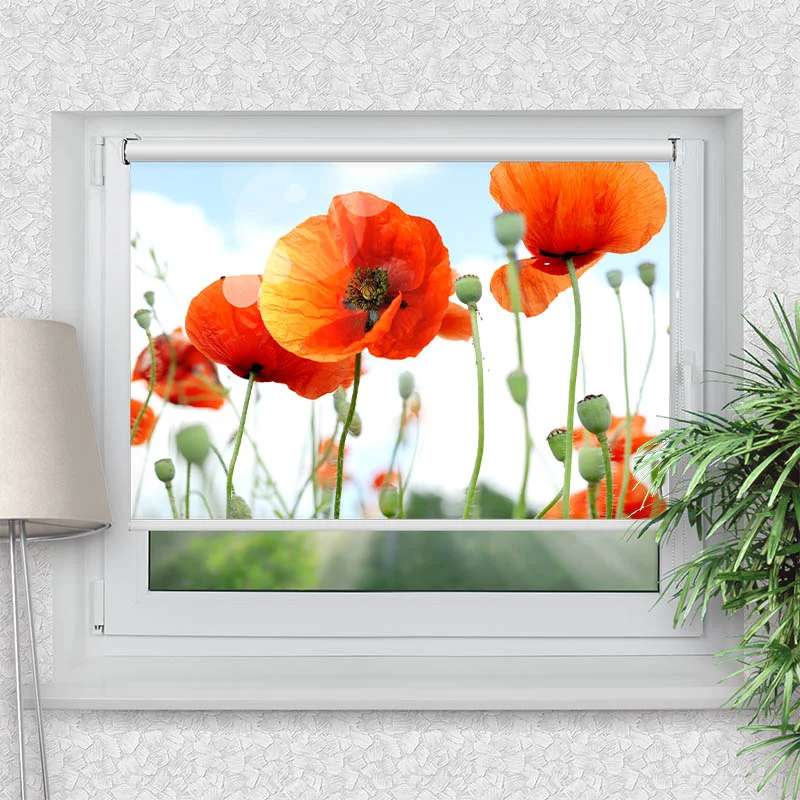 Klemmfix Rollo "Mohnblumen Panorama" | Motiv-Klemmrollo