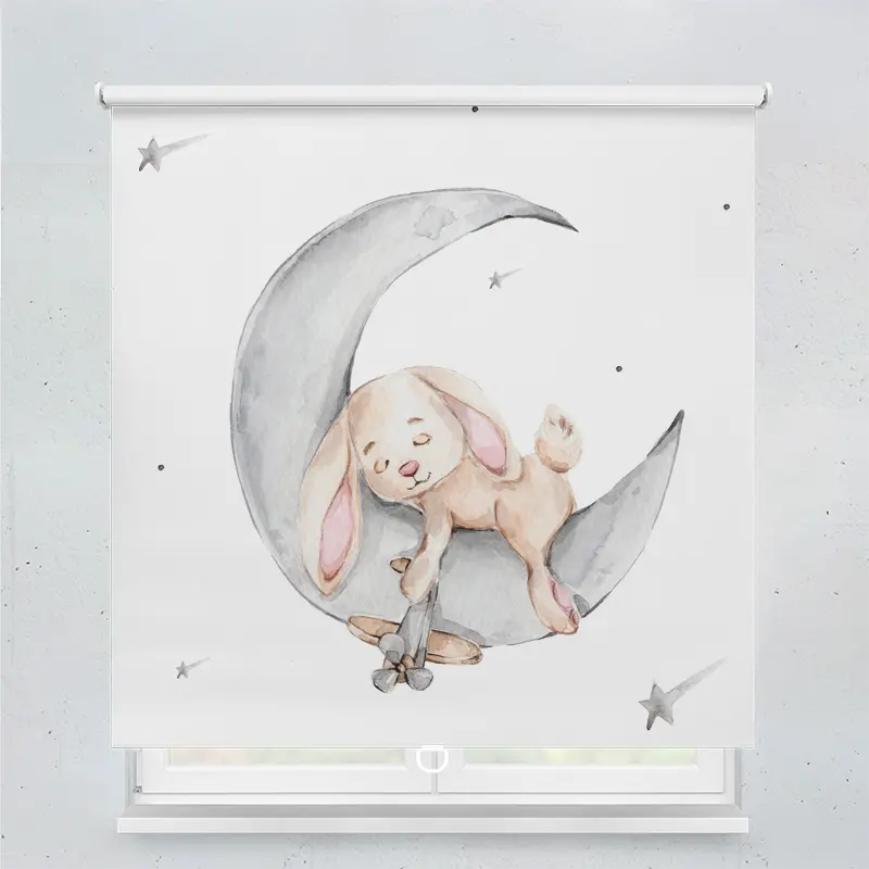 Springrollo Motiv "Hase Kind Mond"