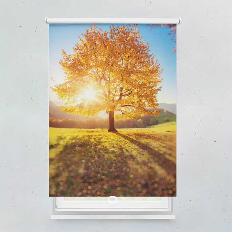 Springrollo Motiv "Herbstbäume"