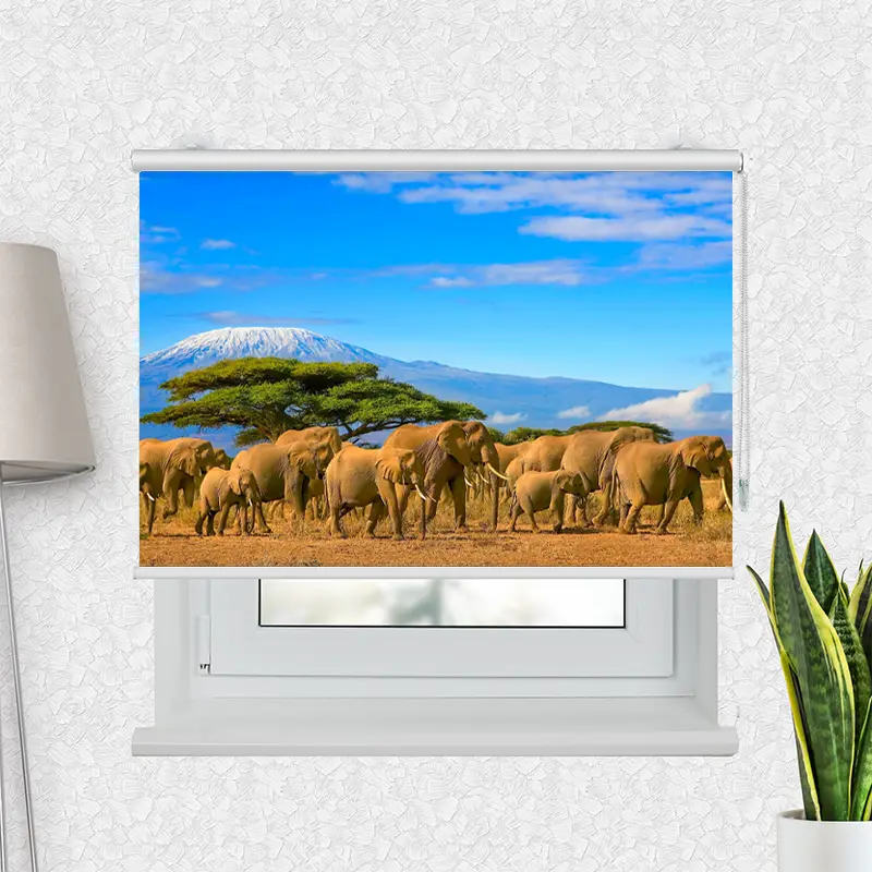 Motivrollo "Elefanten Am Kilimandscharo" | Bis B 430 x H 440 cm