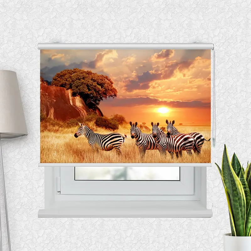 Motivrollo "Zebras In Afrikas Savanne" | Bis B 430 x H 440 cm