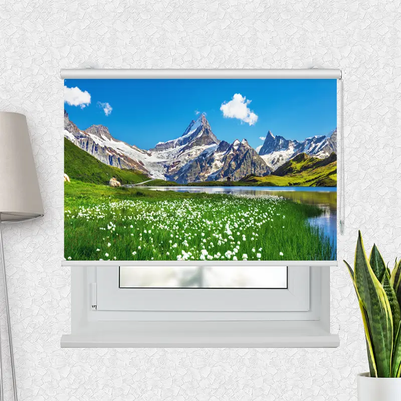 Motivrollo "Schweizer Alpen Bachalpsee" | Bis B 430 x H 440 cm