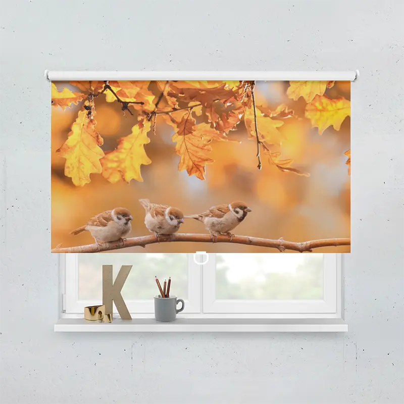 Springrollo Motiv "Vögel Im Herbst"