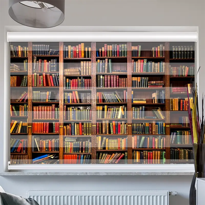 Doppelrollo mit Kassette "Altes Bücherregal"