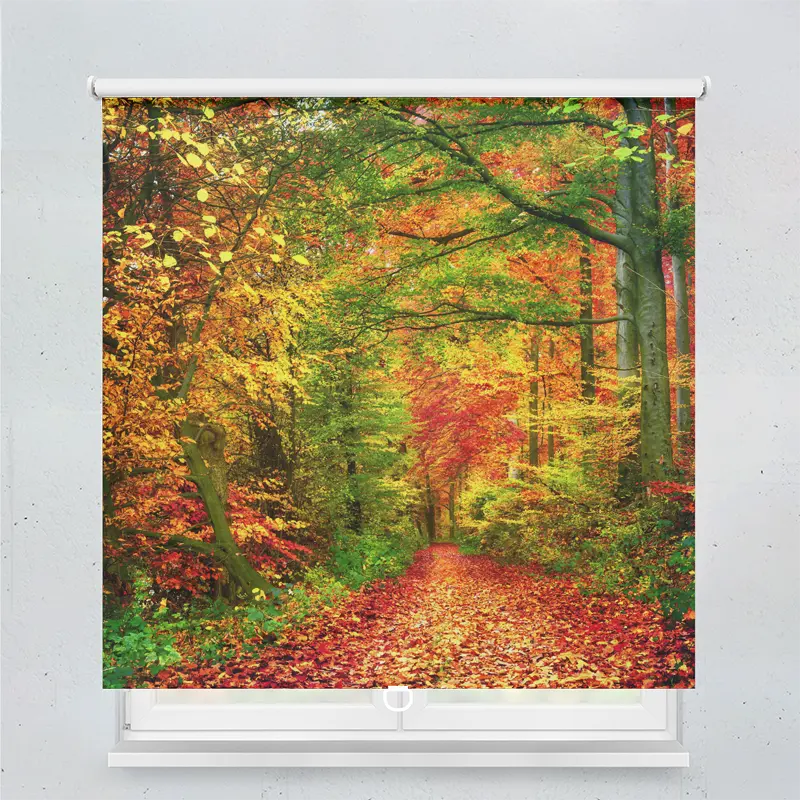 Springrollo Motiv "Weg Im Herbstwald"