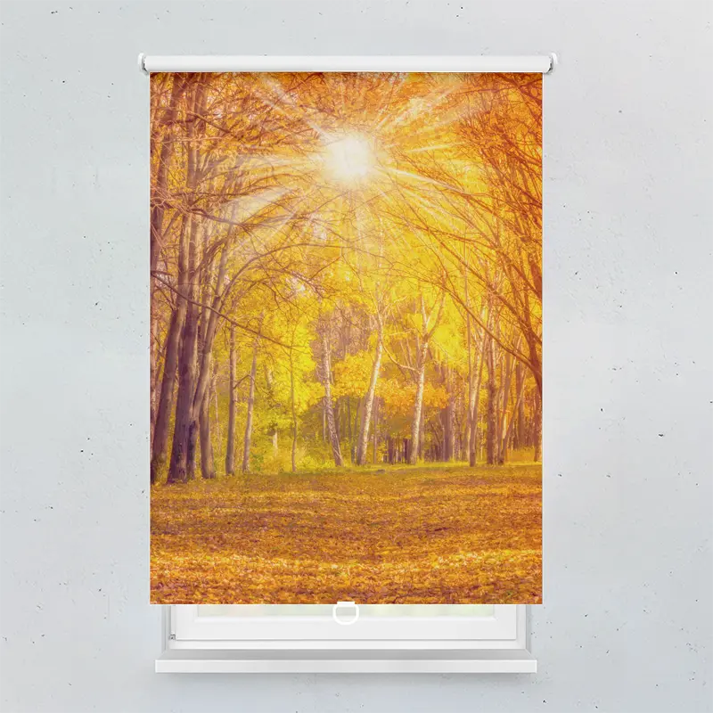 Springrollo Motiv "Herbstwald"