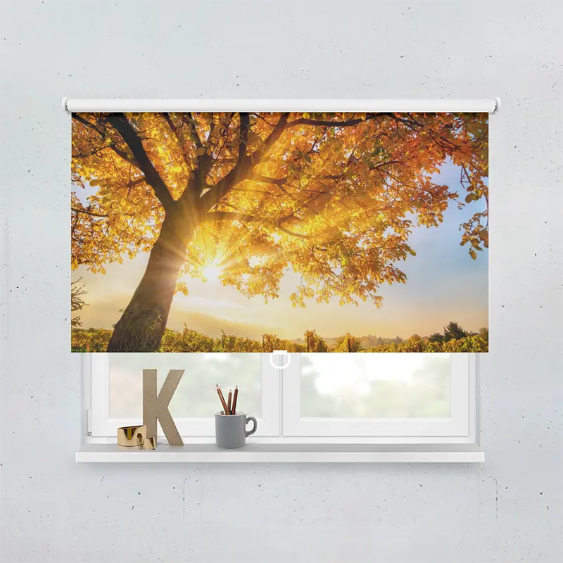 Springrollo Motiv "Baum Herbst Sonnenschein"