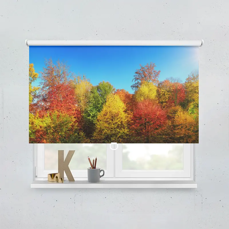 Springrollo Motiv "Bunter Herbstwald"