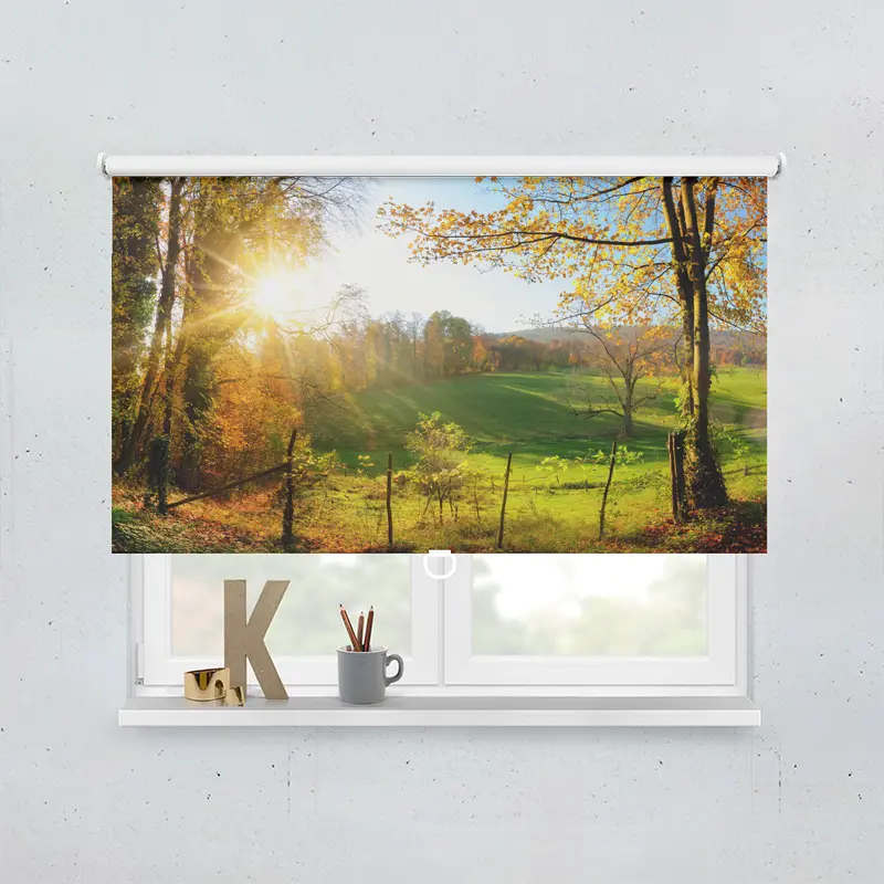 Springrollo Motiv "Herbstlandschläft"