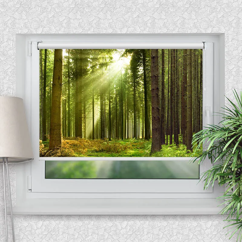 Klemmfix Rollo "Sonnenstrahlen im Wald Panorama" | Motiv-Klemmrollo