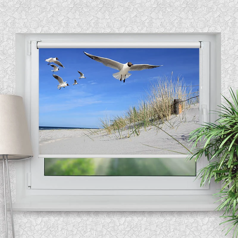 Klemmfix Rollo "Moewen am Strand" | Motiv-Klemmrollo