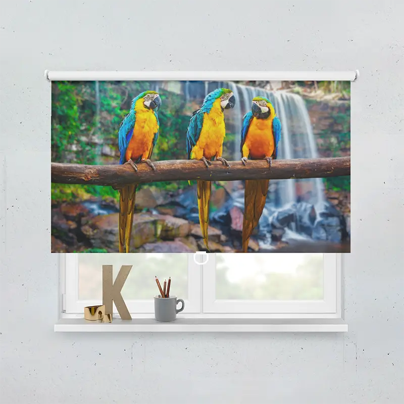 Springrollo Motiv "Papageien Urwald Wasserfall"