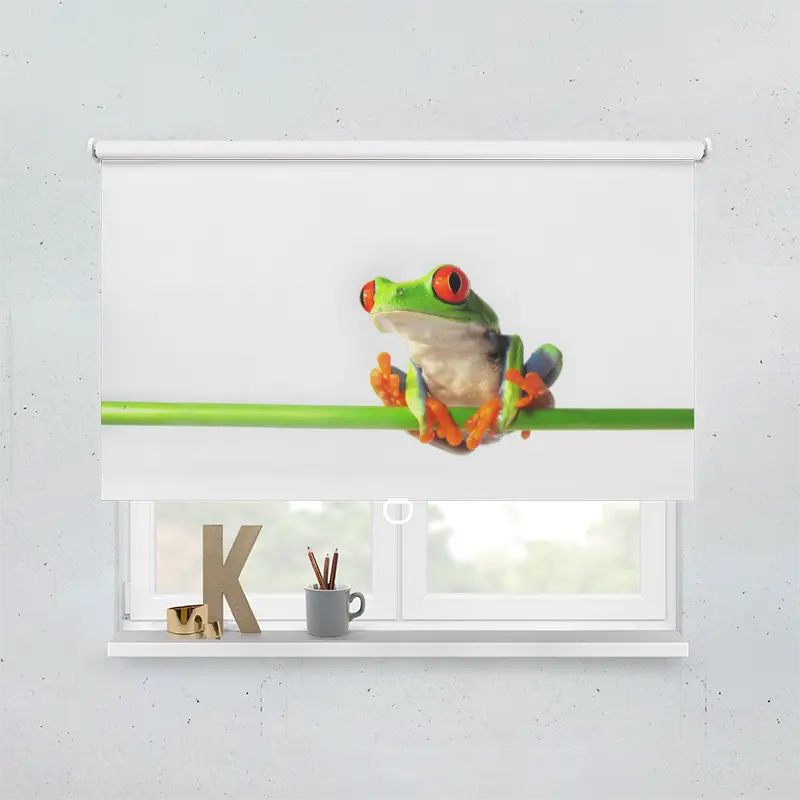 Springrollo Motiv "Rotaugenlaubfrosch"
