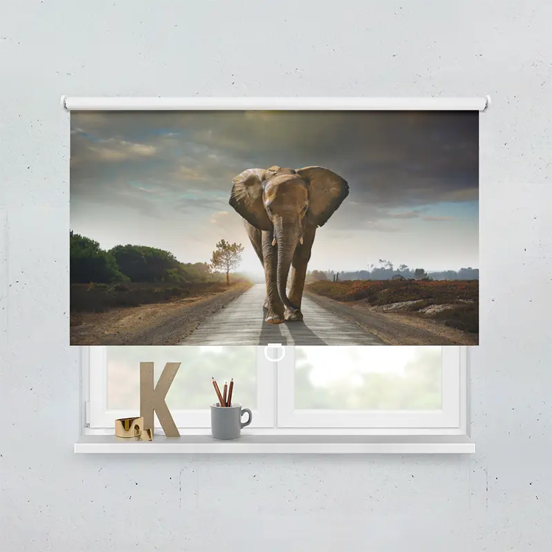 Springrollo Motiv "Afrika Elefant Weg"