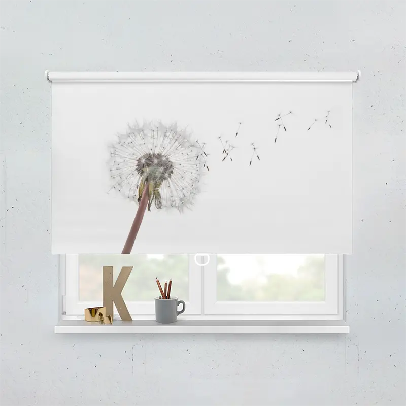 Springrollo Motiv "Pusteblume Loewenzahn Fliegt"