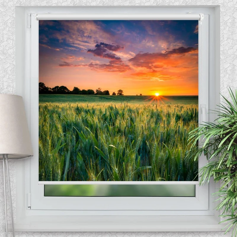 Klemmfix Rollo "Feld Sonnenuntergang" | Motiv-Klemmrollo