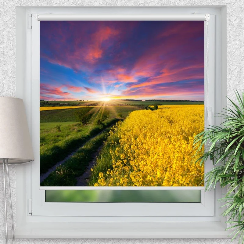 Klemmfix Rollo "Rapsfeld Sonnenaufgang" | Motiv-Klemmrollo