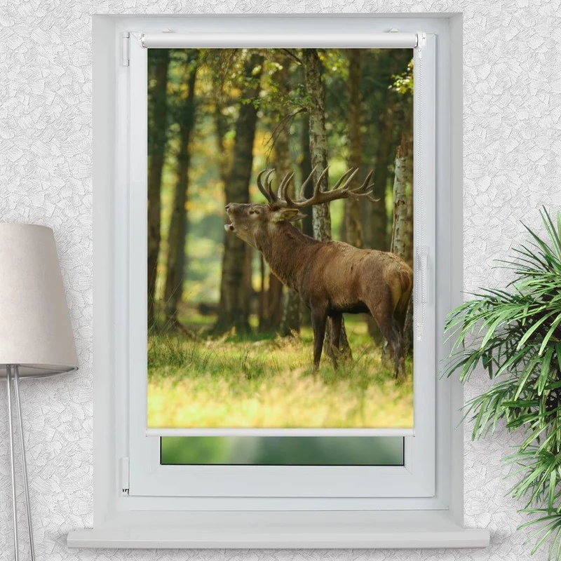Klemmfix Rollo "Hirsch Wald" | Motiv-Klemmrollo