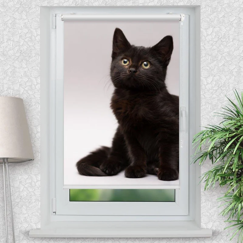 Klemmfix Rollo "Schwarze Katze Kitten" | Motiv-Klemmrollo