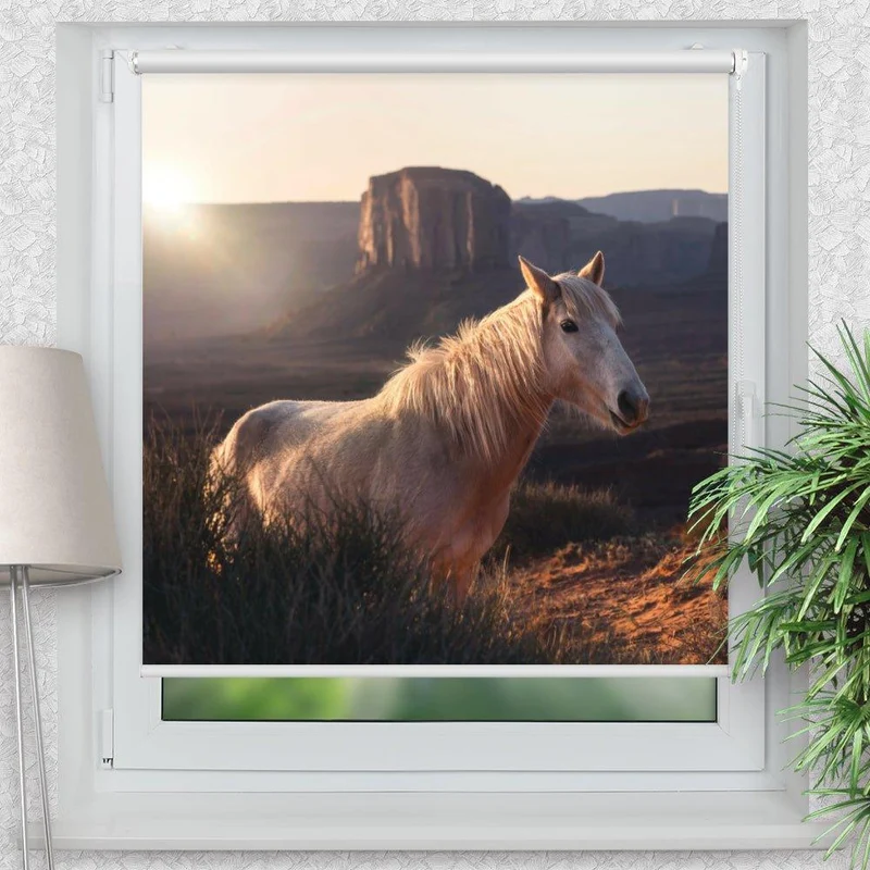 Klemmfix Rollo "Wildpferd Arizona" | Motiv-Klemmrollo