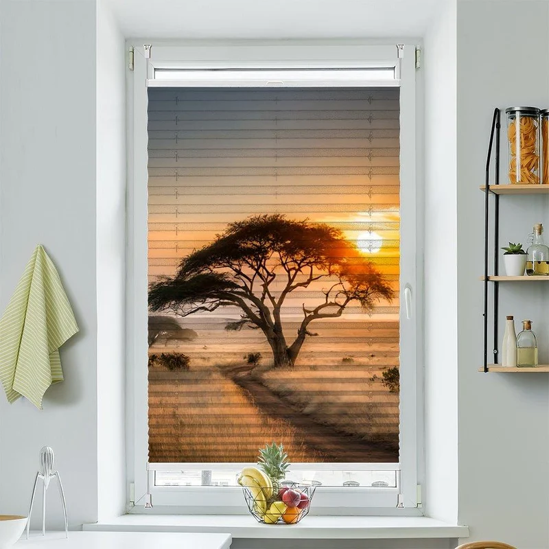 Plissee Motiv "Afrika Savanne Wüste"
