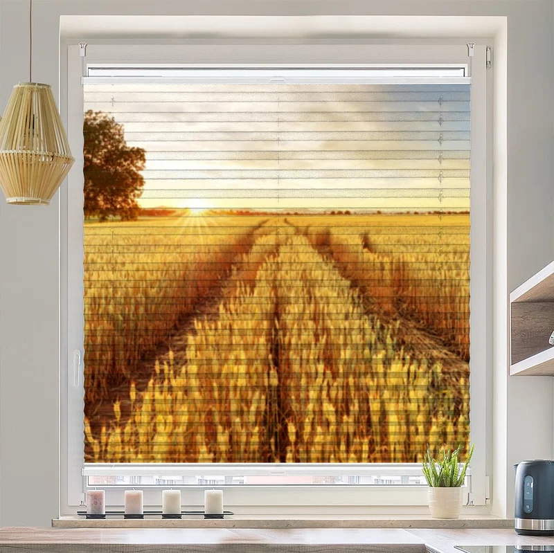 Wabenplissee Motiv "Kornfeld Sonnenuntergang"