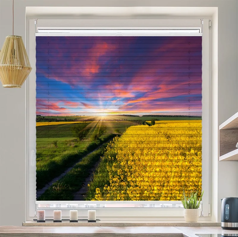 Wabenplissee Motiv "Rapsfeld Sommer"