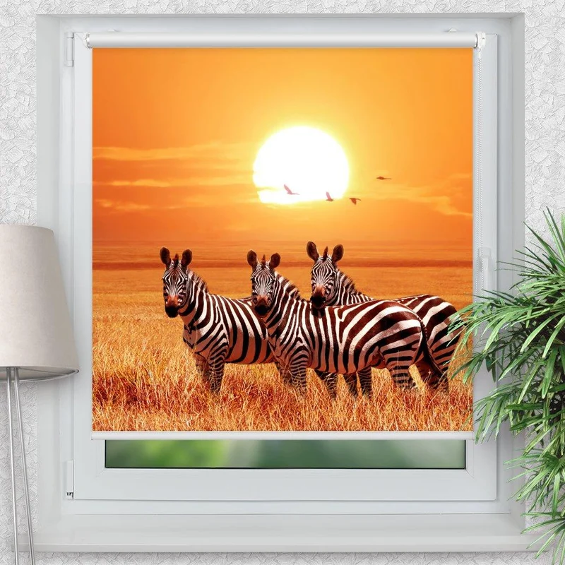Klemmfix Rollo "Zebra Afrika Savanne" | Motiv-Klemmrollo