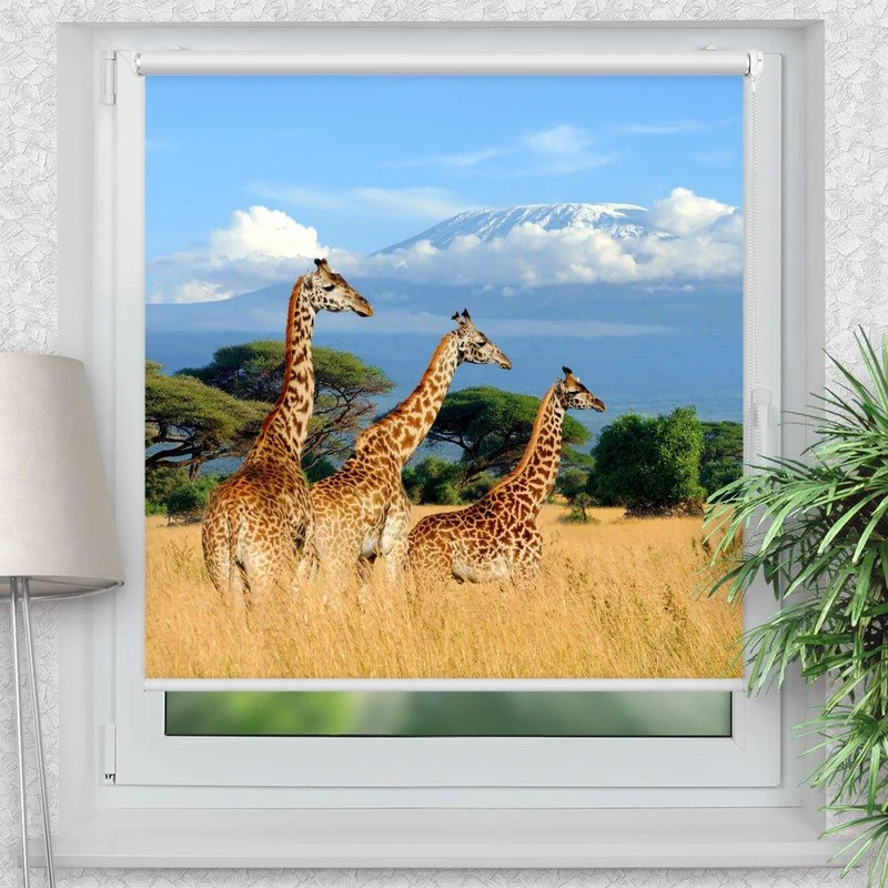 Klemmfix Rollo "Giraffen Afrika" | Motiv-Klemmrollo