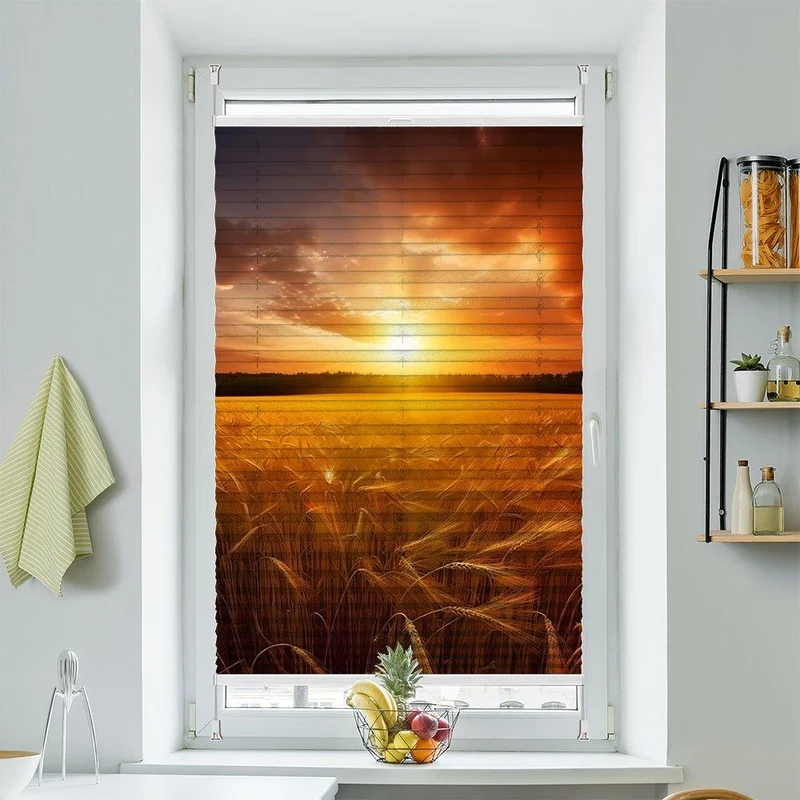 Plissee Motiv "Kornfeld Sonnenuntergang"