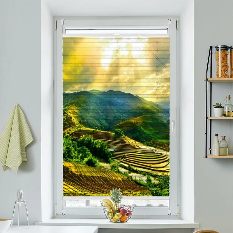Wabenplissee Motiv "Reisfelder Vietnam"
